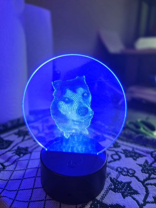 Custom LED acrylic night lamp — circular panel with dog portrait glowing blue