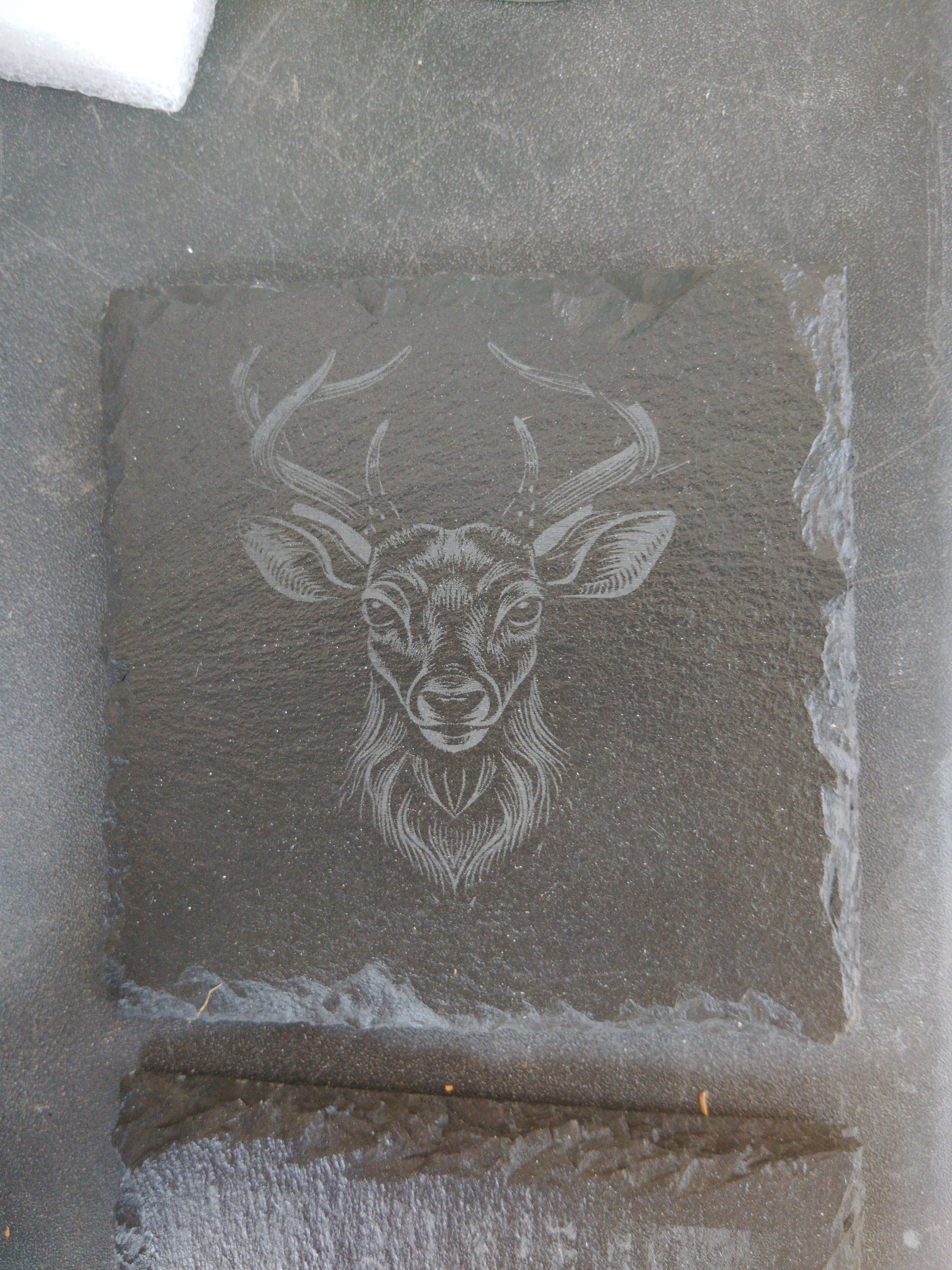 Custom laser engraved slate — square piece with stag portrait engraving